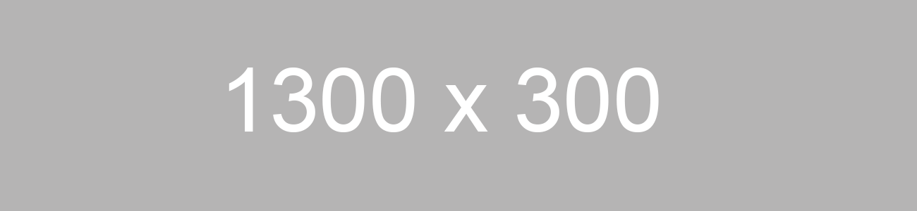 1300x300