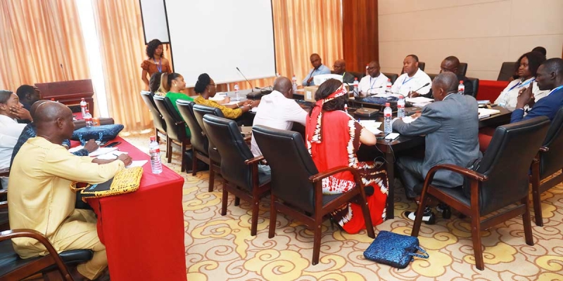 92nd AfWASA STC meeting: the specialist groups develop their action plan
